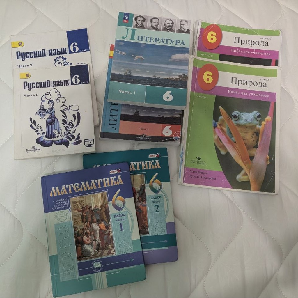 Учебник по литературе
