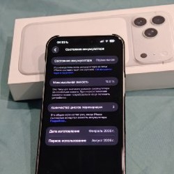 IPhone 17 Pro Max 256 ГБ Silver - фото 5