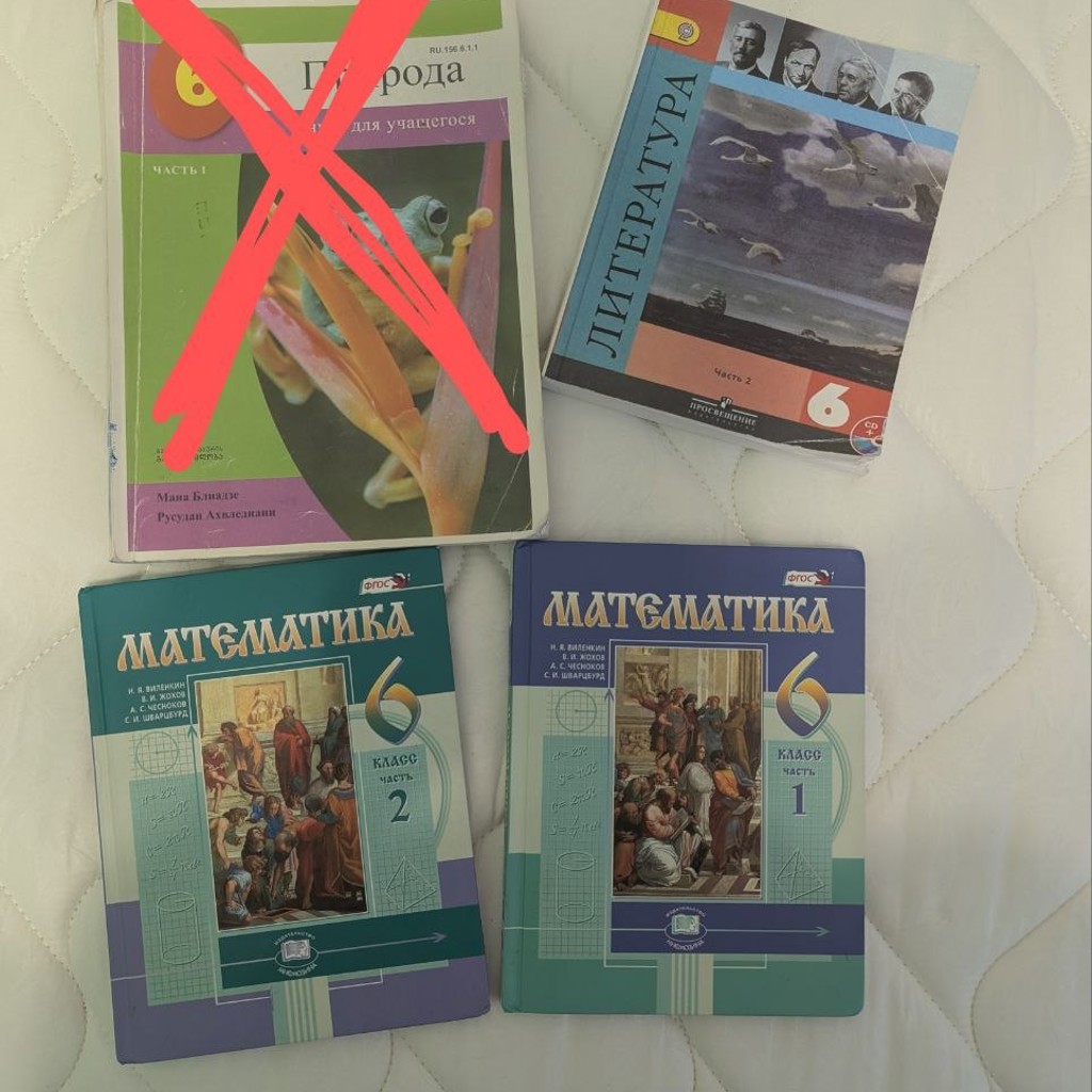 Учебник по литературе