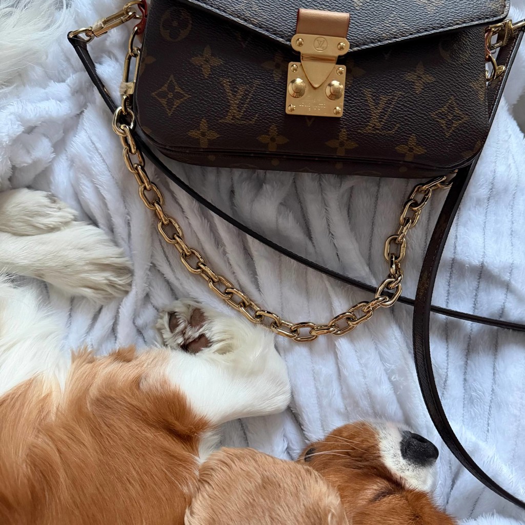 Louis Vuitton Pochette Métis East-West Monogram