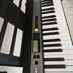 Синтезатор Casiotone LK-S250 - фото 2