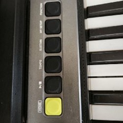 Синтезатор Casiotone LK-S250 - фото 3