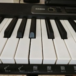 Синтезатор Casiotone LK-S250 - фото 4