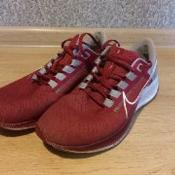 Кроссовки Nike Air Zoom Pegasus - фото 2