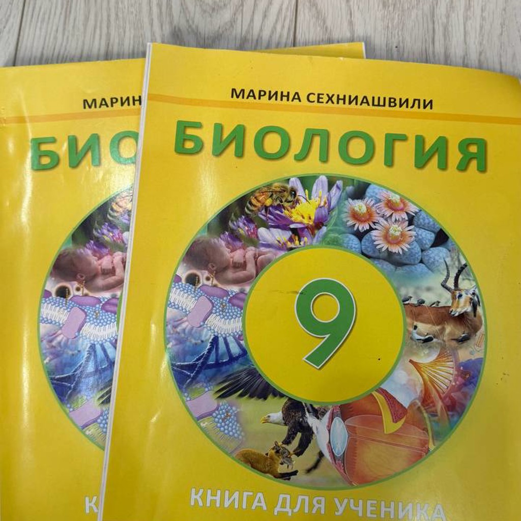 Немецкий (11 класс)