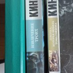 Девочка, которая любила Тома Гордона - фото 4