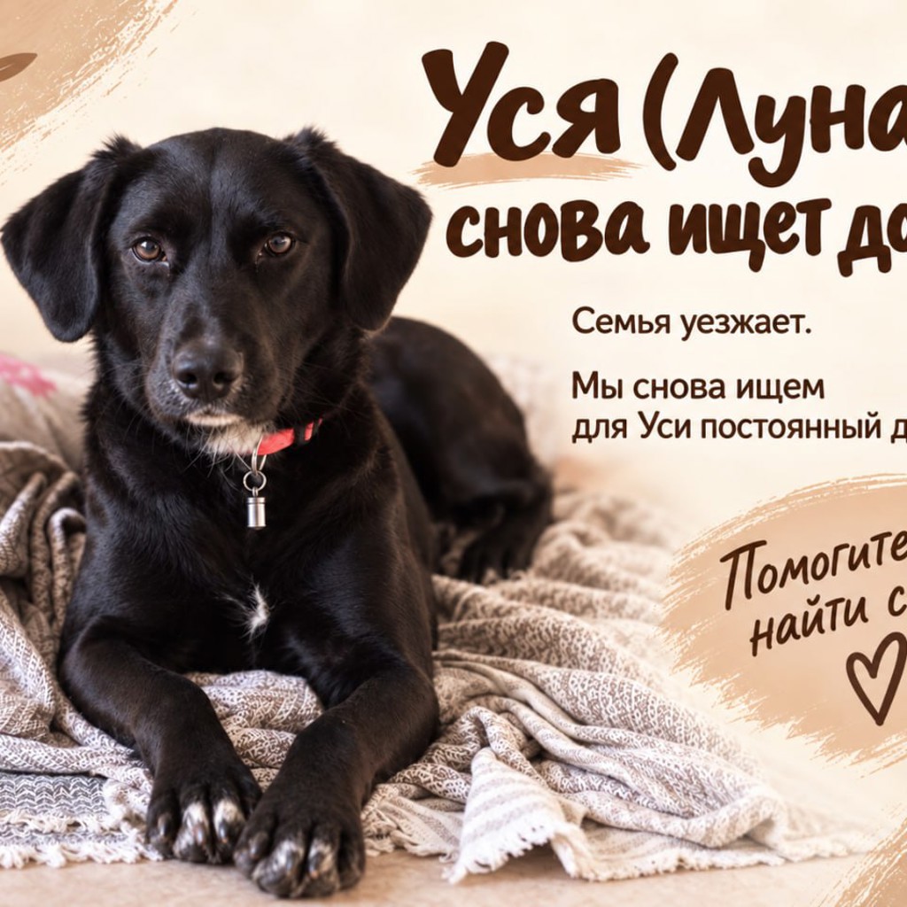 Уся (Луна)