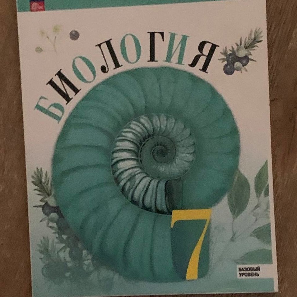 Учебник