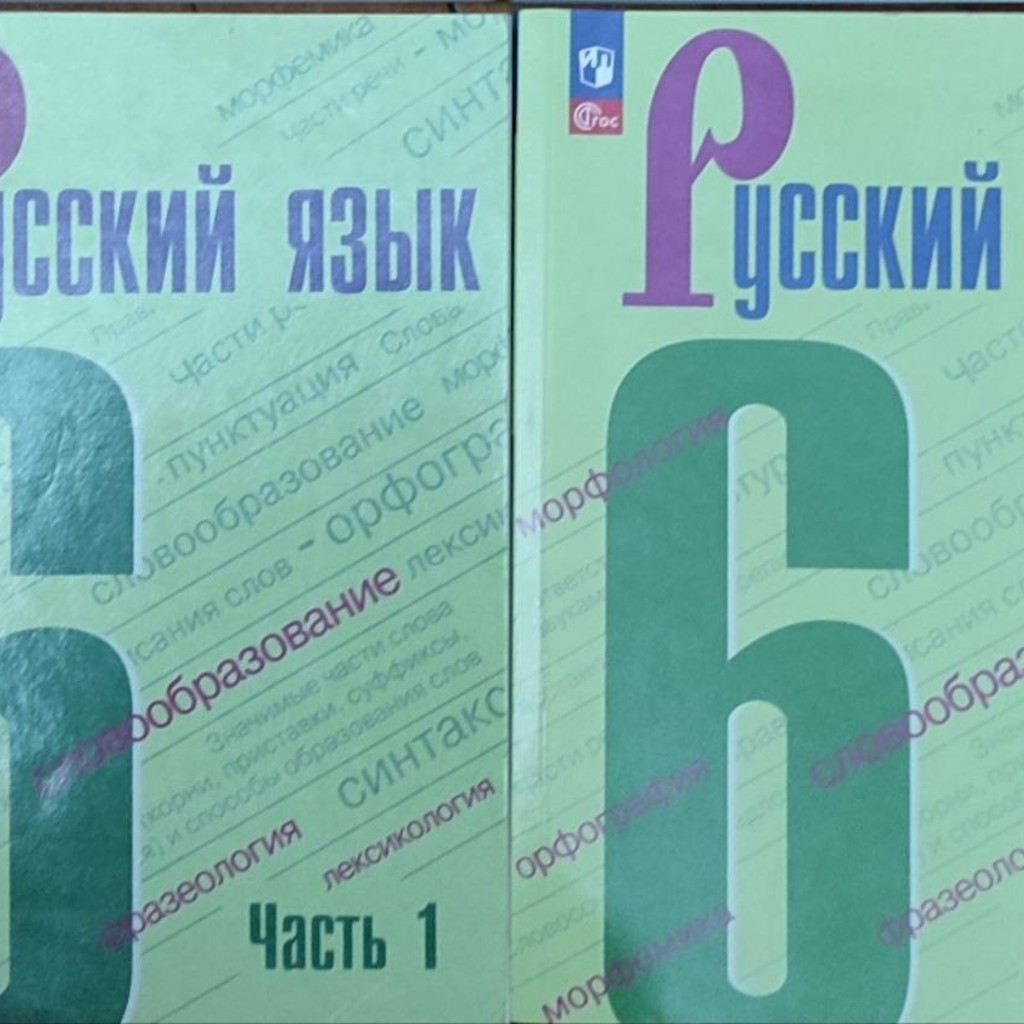 Русский язык 6 класс. Часть 2