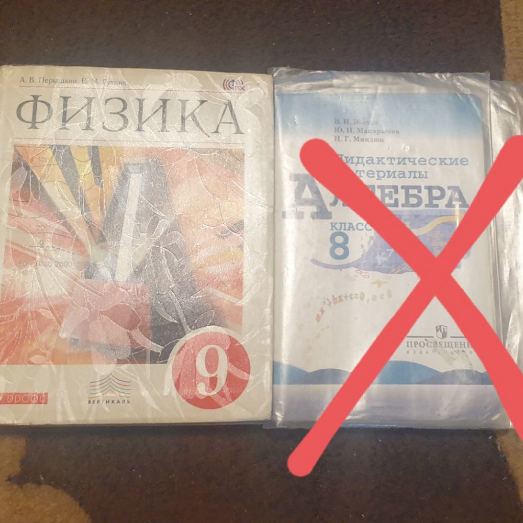 Литература 10 класс