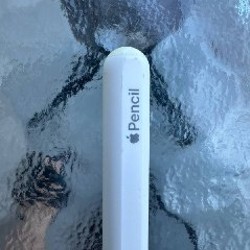 Apple Pencil 2 - фото 3