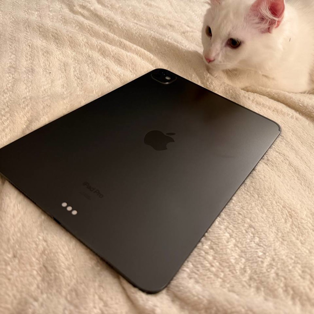 Ipad Pro 11 M4