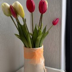 Тюльпаны - фото 2