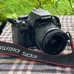 Canon EOS 600D - фото 2