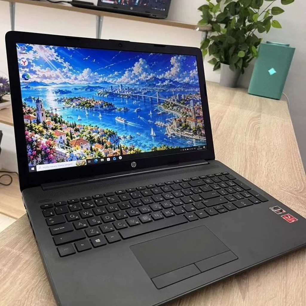 Ноутбук HP 255 G7