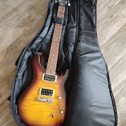 Электрогитара HARLEY BENTON CST-24 - фото 2