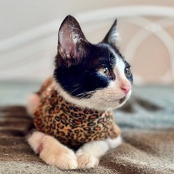 Онигири - фото 3