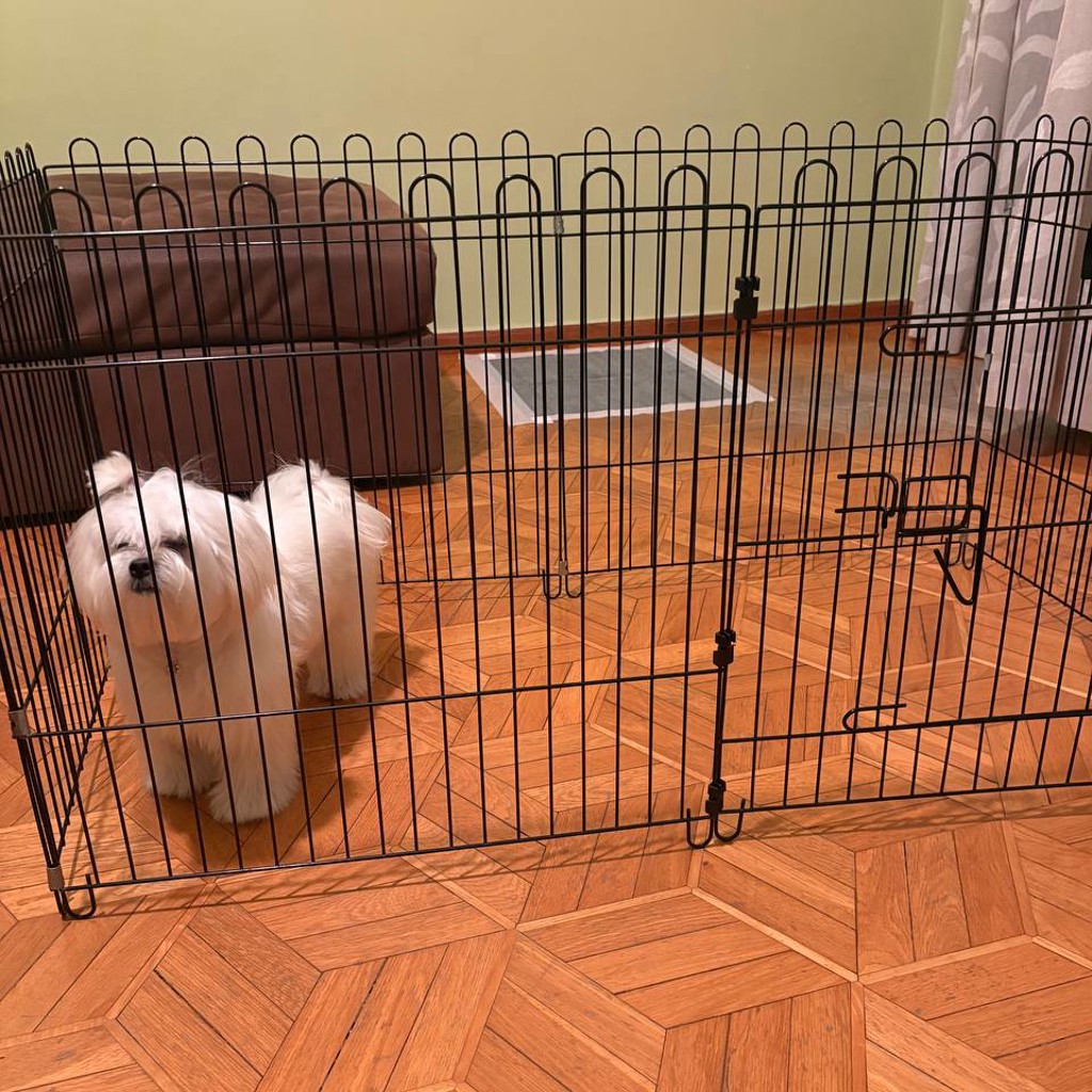 Клетка для собак