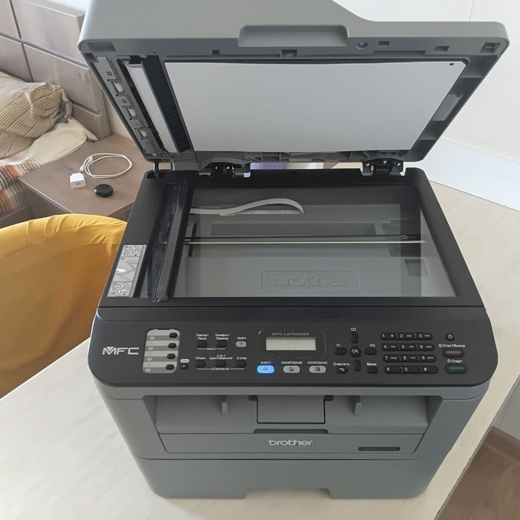 МФУ Brother MFC-L2700DWR