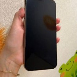 IPhone 16 Pro Max - фото 5