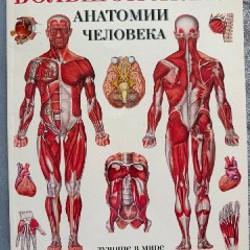 Руки света - фото 7