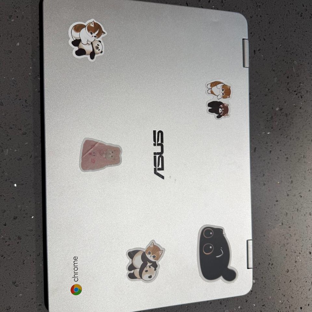 ASUS Chromebook Flip C302