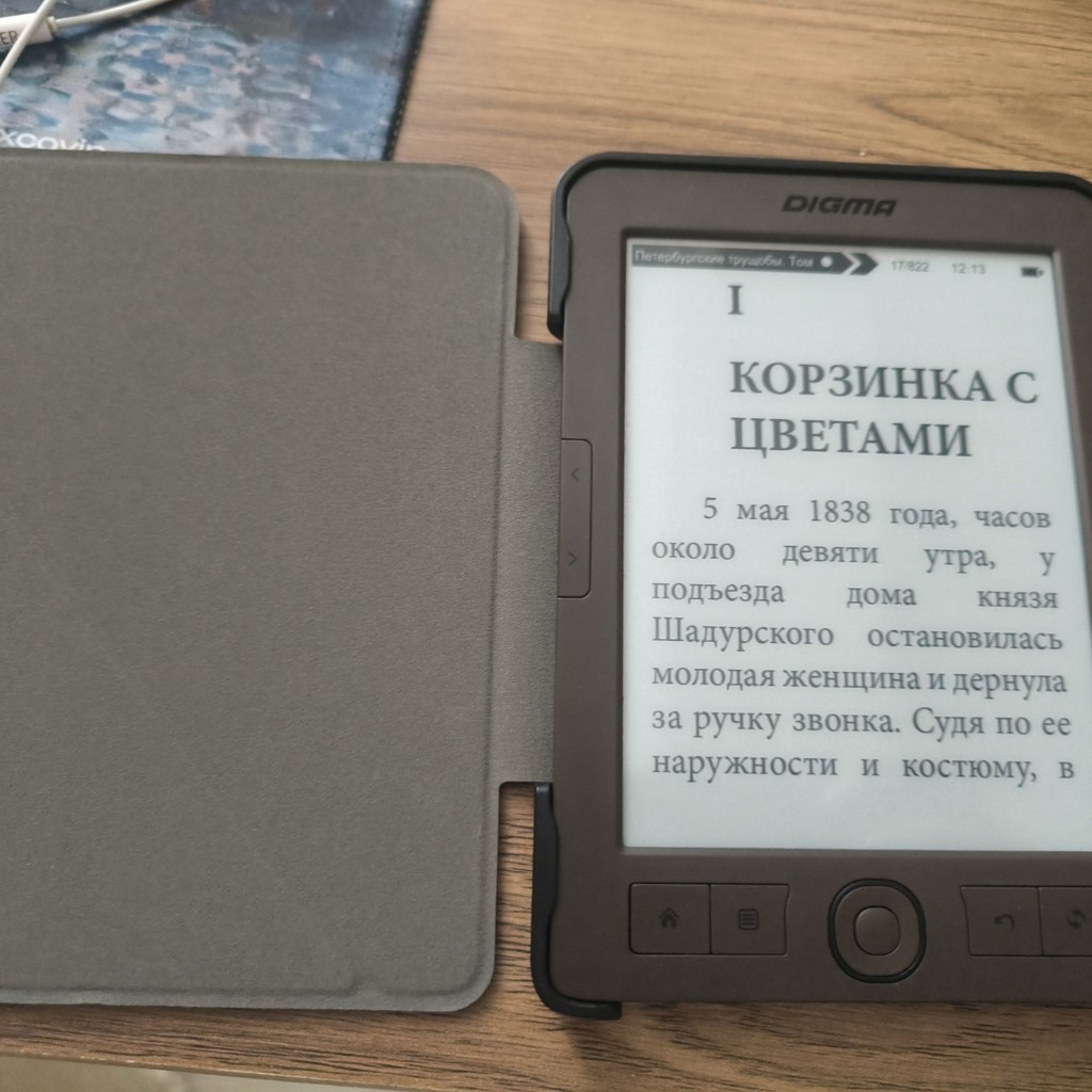 Электронная книга Digma E60C