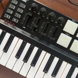 Midi-клавиатура Worlde Panda Mini - фото 2