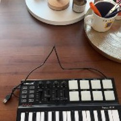 Midi-клавиатура Worlde Panda Mini - фото 2