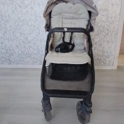 Коляска прогулочная Joie Evalite duo - фото 6