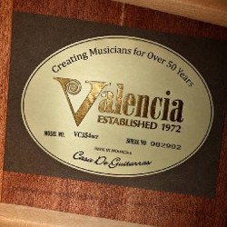 Классическая гитара Valencia VC354WR - фото 6