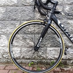 Giant TCR - фото 3