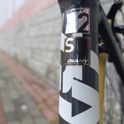 Giant TCR - фото 7