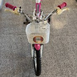 Детский велосипед Trinx Princess 2.0 - фото 2