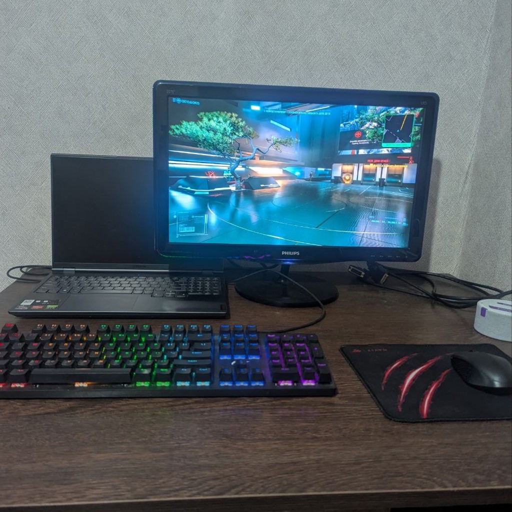 Монитор Philips 22'