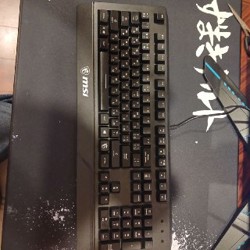 Игровая клавиатура MSI VIGOR GK20 - фото 2