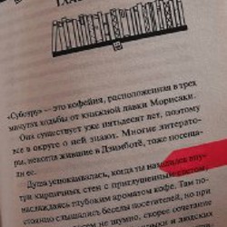 Клатбище домашний жывотных - фото 2