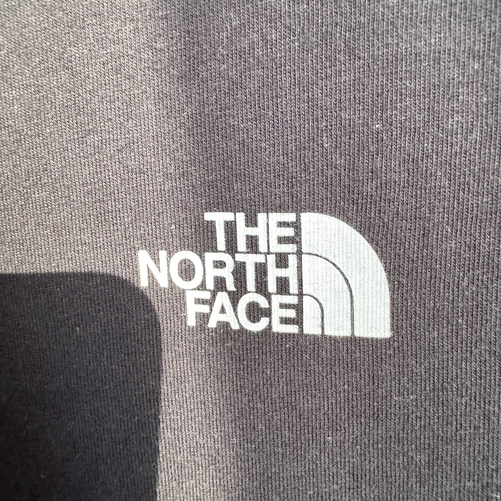 Футболка North Face