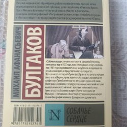 Эльфийский клинок - фото 5