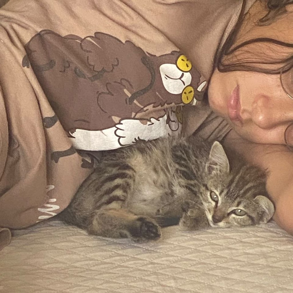 Котенок