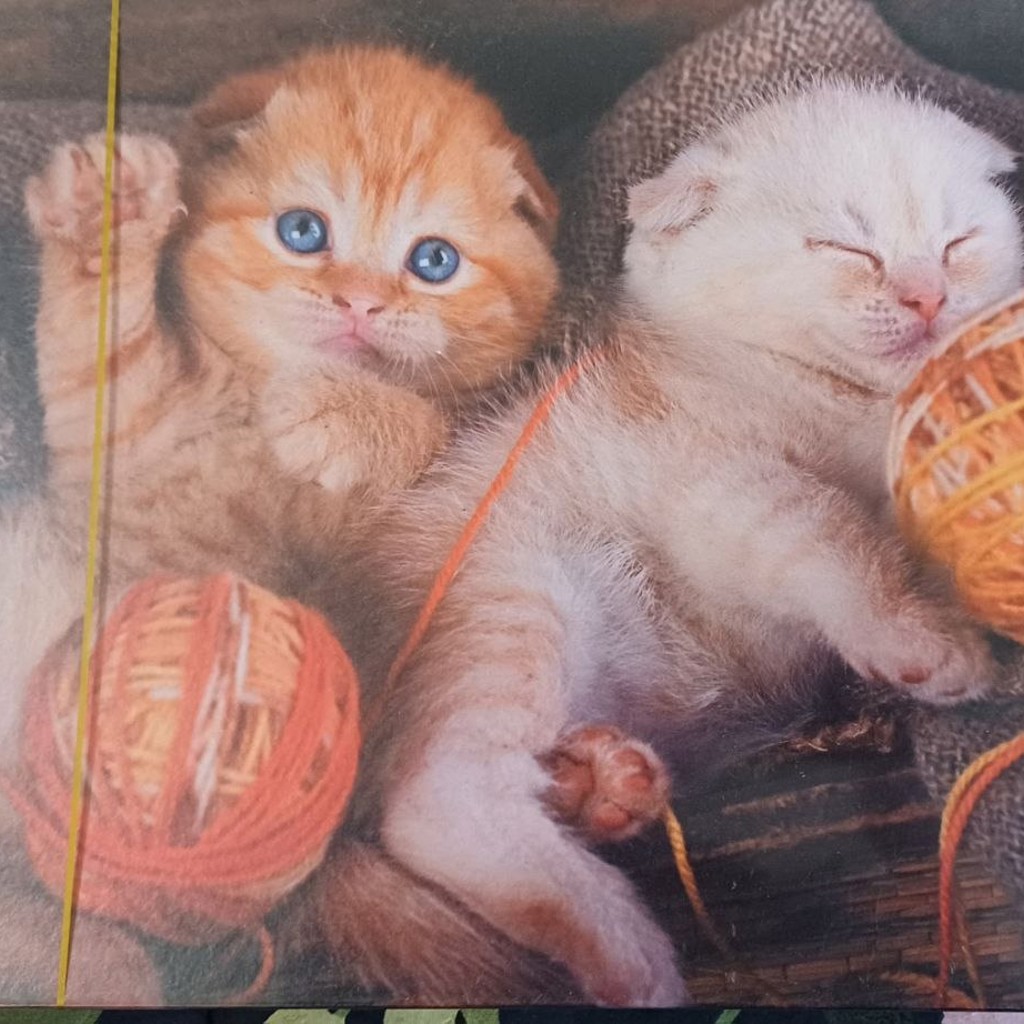 Туфли