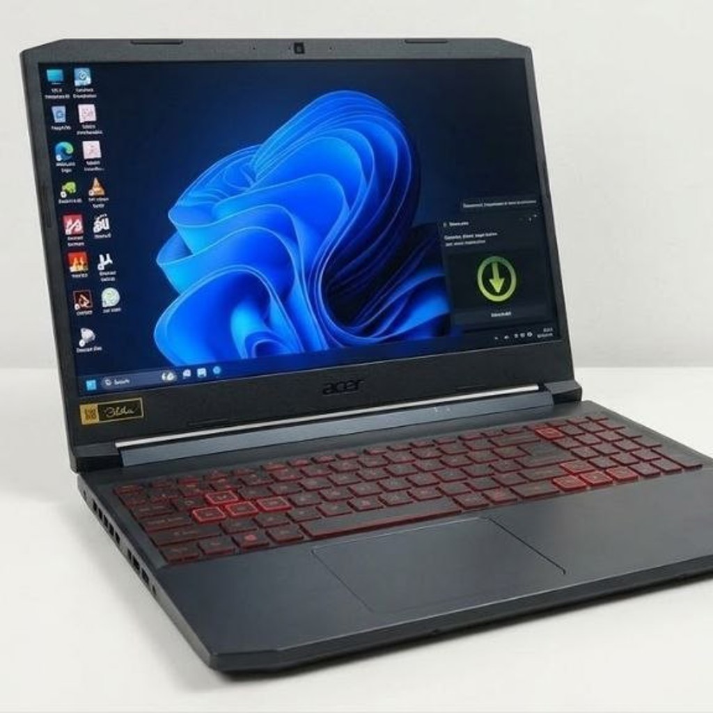 Acer Nitro 5