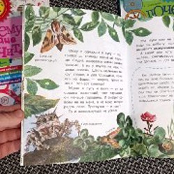 Книги детские в твердой обложке - фото 5