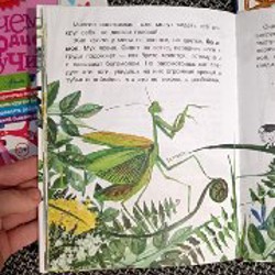 Книги детские в твердой обложке - фото 6