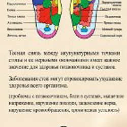 НАНО-СТЕЛЬКИ - фото 2