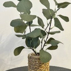 Искусственный эвкалипт в джутовом кашпо - фото 3