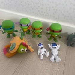 Image 5