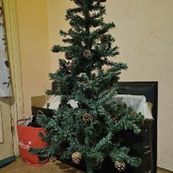 Елка - фото 2