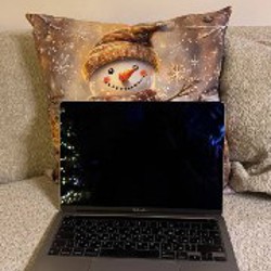 MacBook Pro 13-inch, M1, 2020 - фото 4