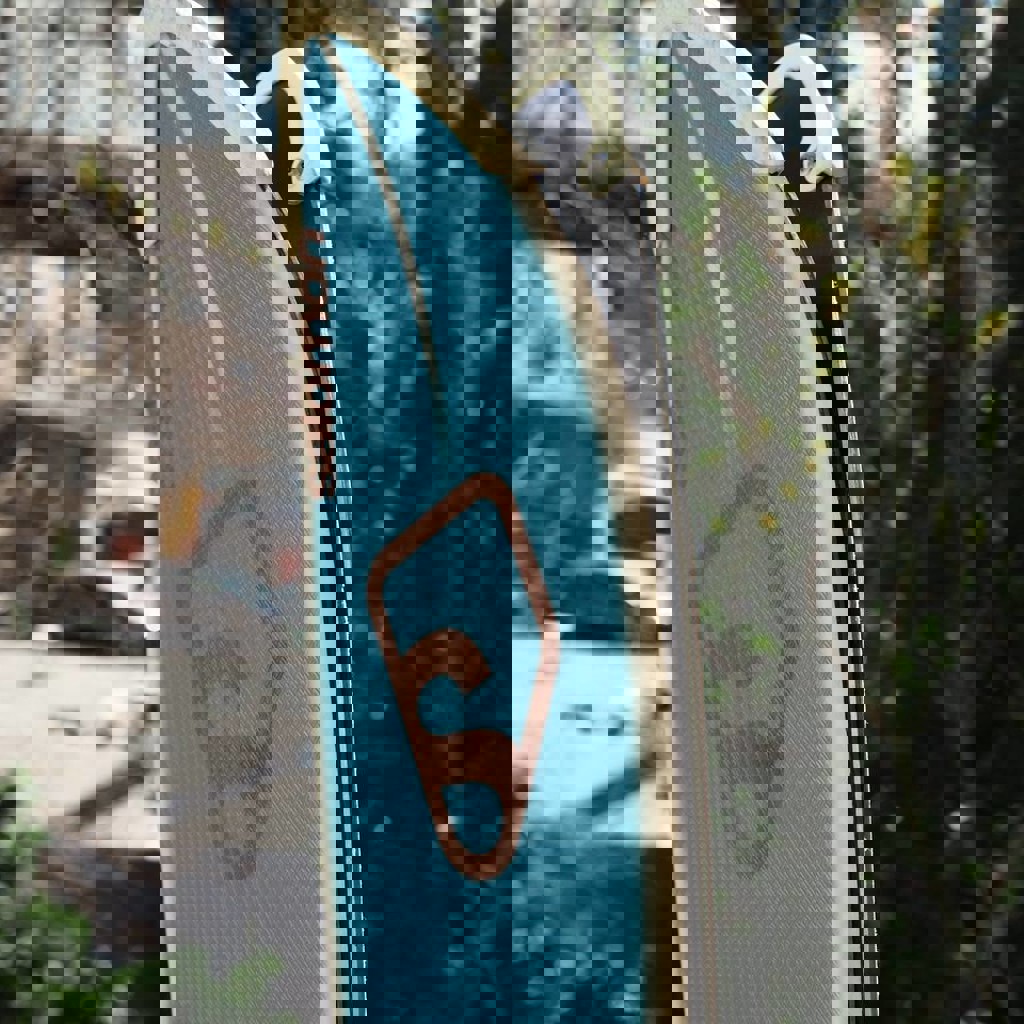 Лыжи Salomon BBR